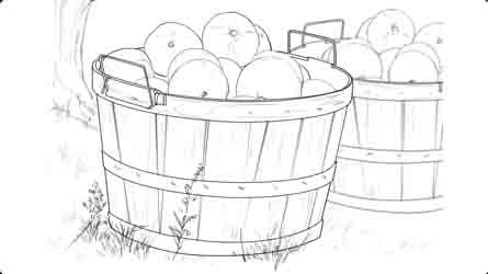 storyboards
