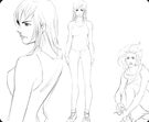 illustrations