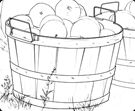 storyboards
